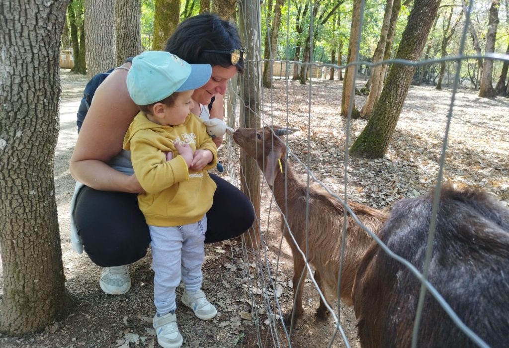 Activité famille au parc animalier de Gramat